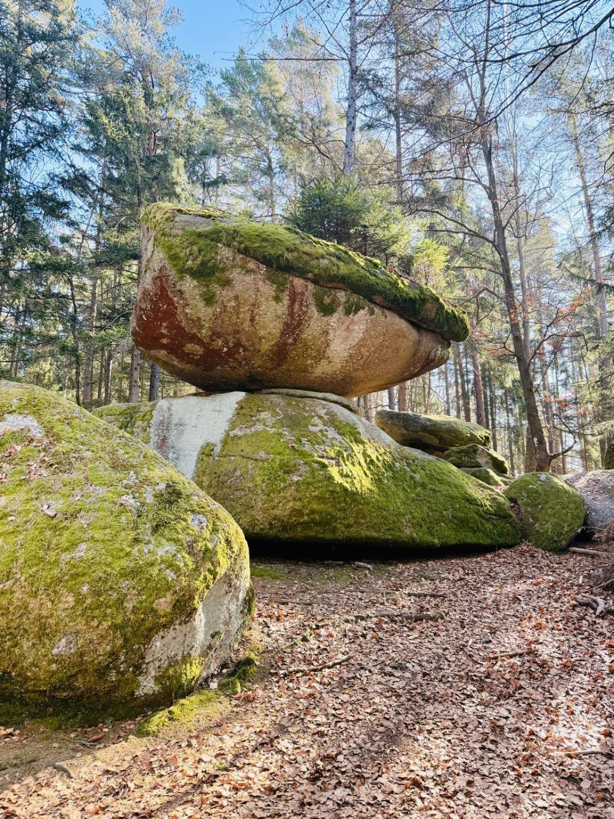 Ferienland Sonnenwald Fewo 46 Und Studio 50 In Schoefweg Bayerischer Wald Exterior photo
