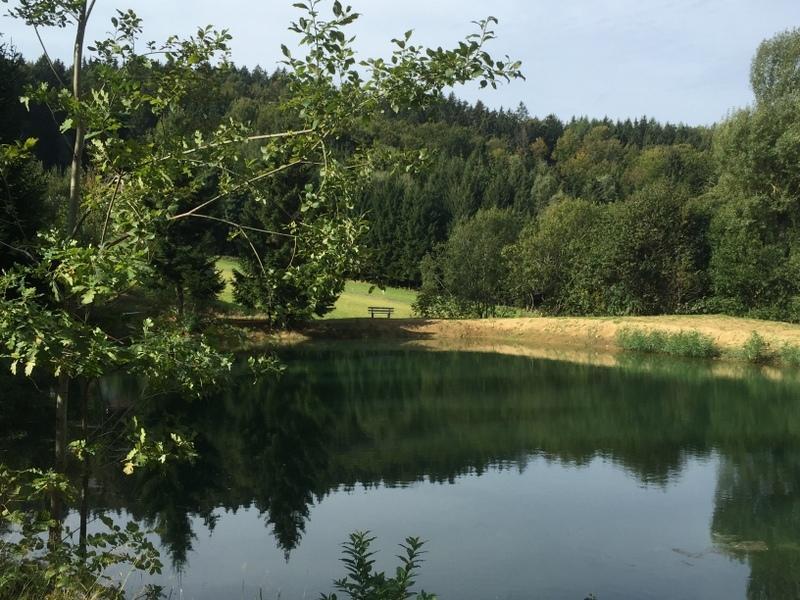 Ferienland Sonnenwald Fewo 46 Und Studio 50 In Schoefweg Bayerischer Wald Exterior photo